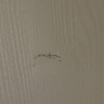 375187-FR-113231.jpg